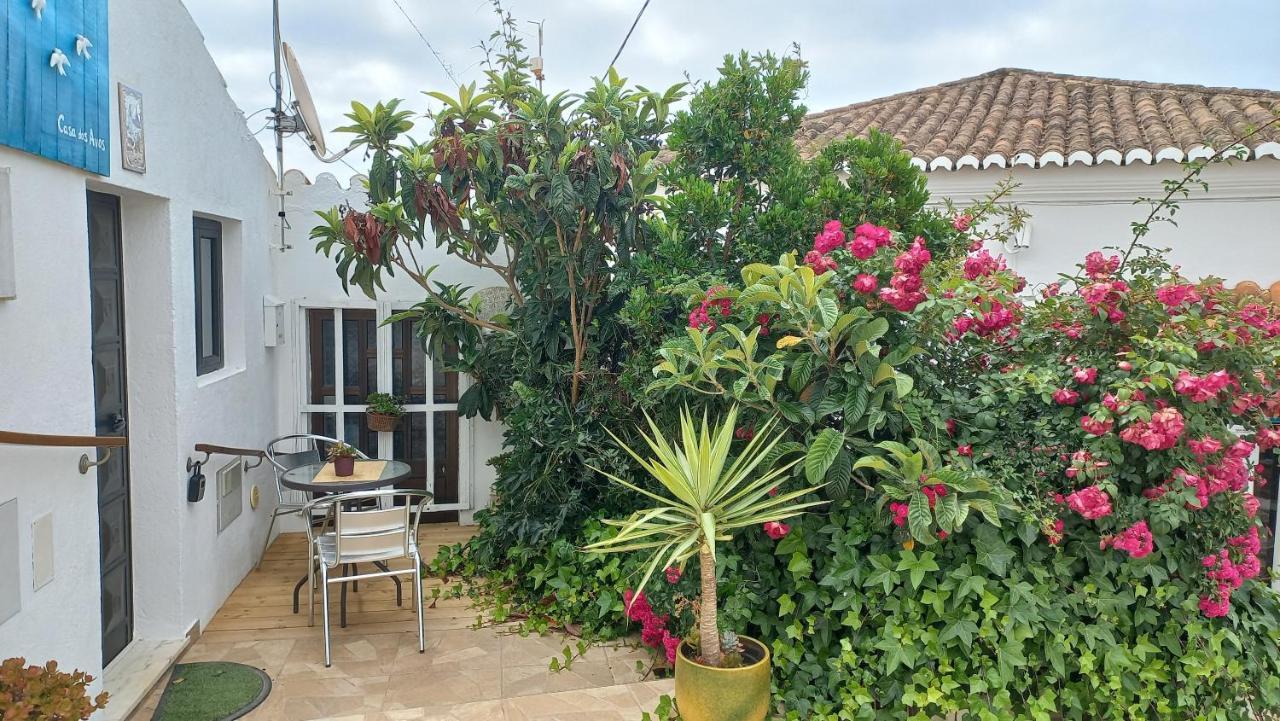 Casa Dos Avos Villa Pedralva Екстериор снимка